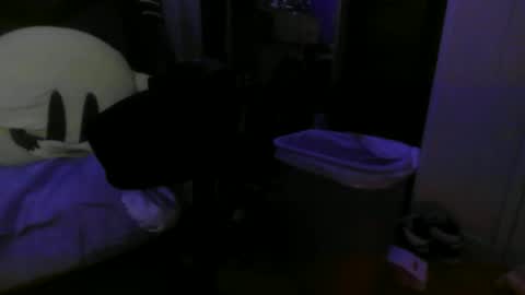 Snapshot of 1337assman1337 chatting on 10.21.25 1337assman1337 online show from 10.21.25