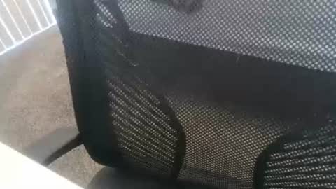 Snapshot of 1chris505 chatting on 01.02.25 1chris505 online show from 01.02.25