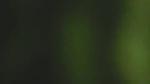 Deluxepussy online show from 02.03.25