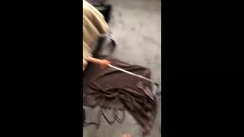 1werd online show from 01.05.25