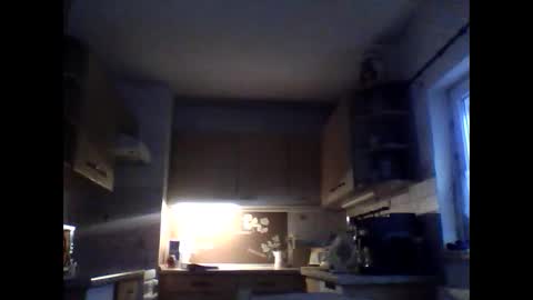 20x5cmgermanlongdong online show from 01.17.26