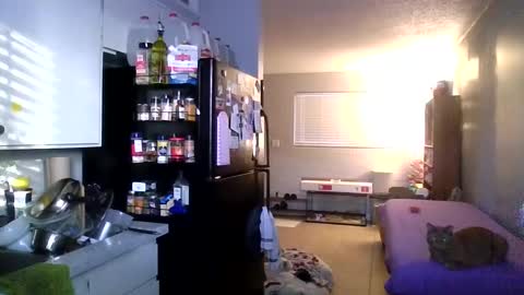 2girls1link online show from 12.31.24