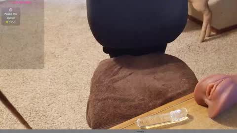 Snapshot of 2tiredoftoys chatting on 11.15.25 2tiredoftoys online show from 11.15.25