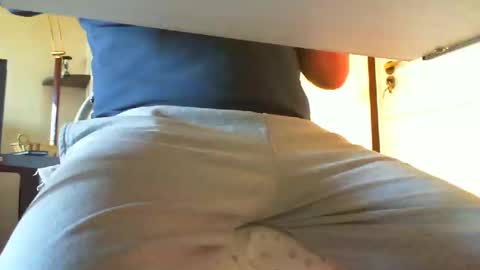 3funlover online show from 12.28.24