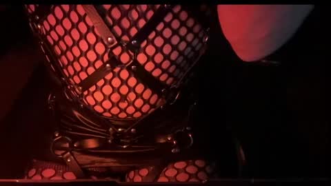 1 online show from 06.06.26
