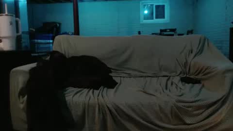 Snapshot of 420bunnie chatting on 02.26.25 420bunnie online show from 02.26.25