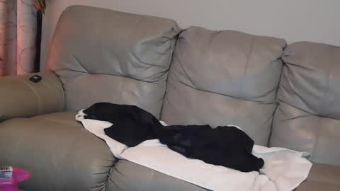 Snapshot of 4theloveofjane chatting on 01.01.25 Jane online show from 01.01.25