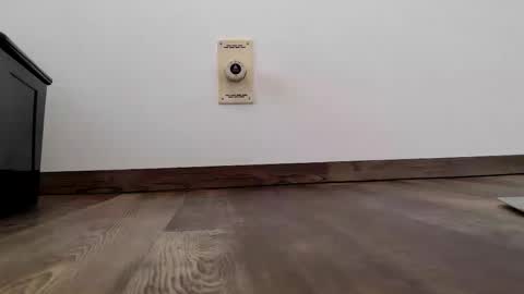 Steven online show from 01.13.26