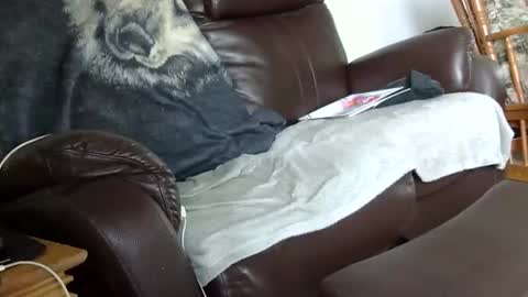 66bear online show from 12.14.25