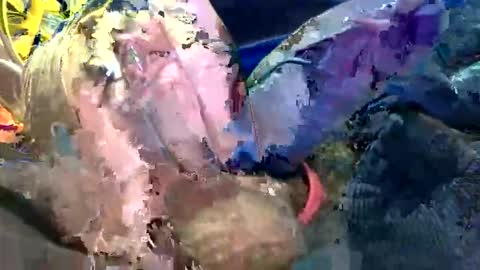 Snapshot of 6990fiko chatting on 10.27.25 6990fiko online show from 10.27.25