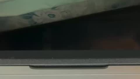 FUCKR online show from 10.17.25