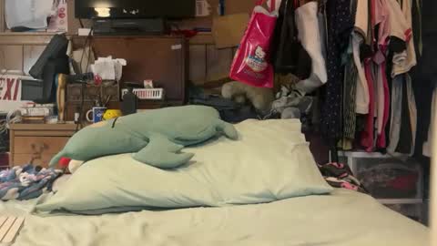 FUCKR online show from 03.17.26