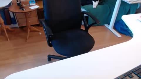 69pifpaf online show from 11.22.25