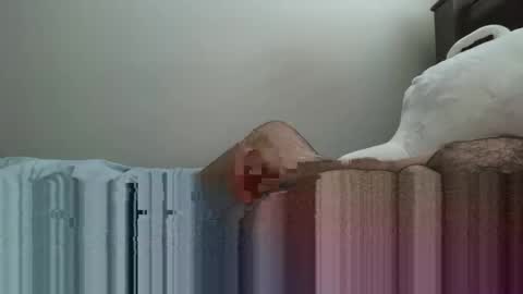 Snapshot of 6boss498491 chatting on 02.23.26 6boss498491 online show from 02.23.26