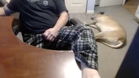 MASTIFF online show from 12.21.25