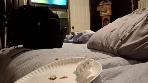 7lairddip online show from 03.29.26