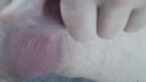 Snapshot of 81_harterschwanz chatting on 12.02.24 Maximilian Max online show from 12.02.24