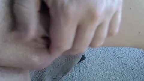 Snapshot of 81_harterschwanz chatting on 01.24.25 Maximilian Max online show from 01.24.25