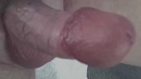 Snapshot of 81_harterschwanz chatting on 02.20.25 Maximilian Max online show from 02.20.25