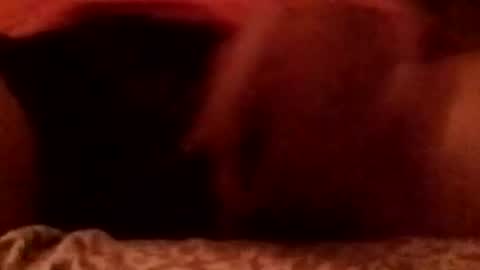 8inchhardbr online show from 02.23.26