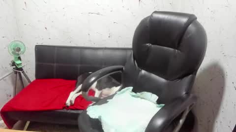     ----       online show from 03.07.26