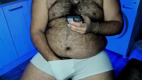 Snapshot of _alan_bear_ chatting on 12.12.24 Alan online show from 12.12.24