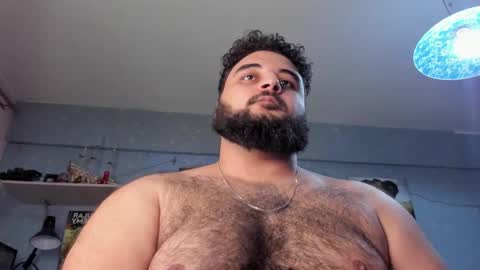 Snapshot of _alan_bear_ chatting on 01.26.25 Alan online show from 01.26.25