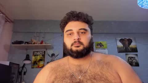 Snapshot of _alan_bear_ chatting on 01.31.25 Alan online show from 01.31.25