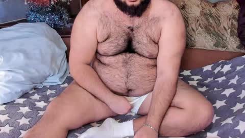 Snapshot of _alan_bear_ chatting on 02.16.25 Alan online show from 02.16.25