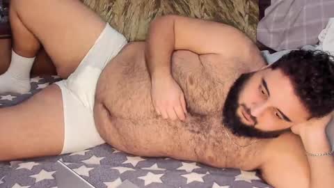 Snapshot of _alan_bear_ chatting on 02.16.25 Alan online show from 02.16.25