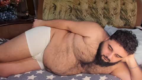 Snapshot of _alan_bear_ chatting on 02.18.25 Alan online show from 02.18.25