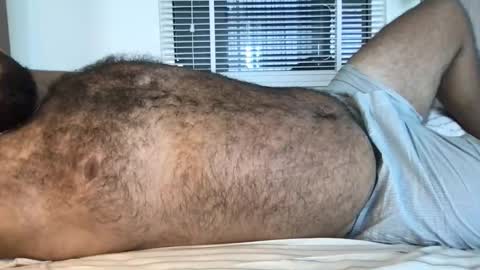 Snapshot of _alan_bear_ chatting on 02.13.26 Alan online show from 02.13.26