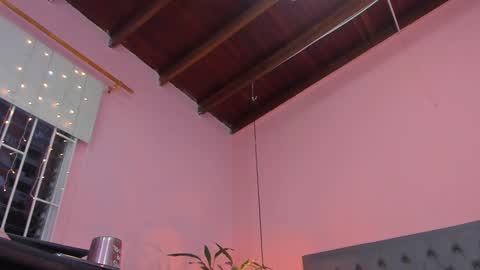  Alline Hall   online show from 02.07.25