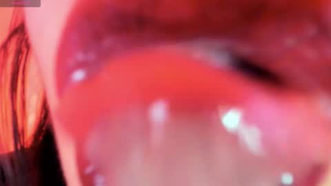 antonia online show from 11.13.25