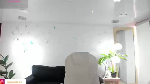 Snapshot of _antonnela_ chatting on 02.25.26 antonnela online show from 02.25.26