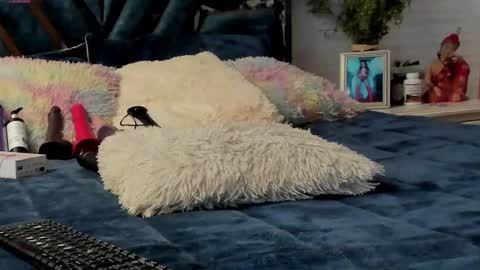 Brenda online show from 03.08.25