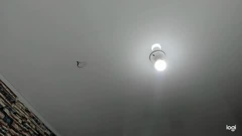 Snapshot of _casandra11 chatting on 01.23.25 _casandra11 online show from 01.23.25