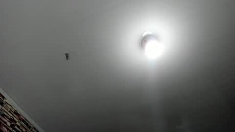 Snapshot of _casandra11 chatting on 02.17.25 _casandra11 online show from 02.17.25