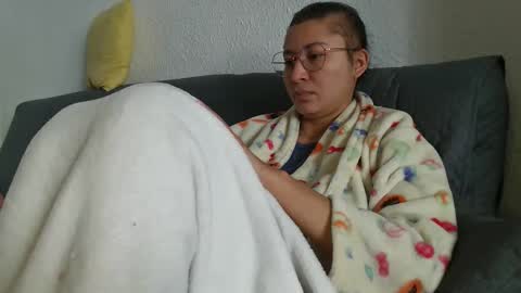 cat online show from 02.12.26