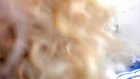 _charlottedavis online show from 01.17.26