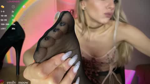 Snapshot of _emily__sweety_ chatting on 12.14.24 Emily online show from 12.14.24