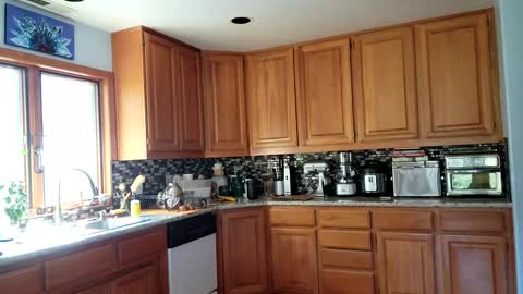 Frankie Rivers allmylinks  online show from 03.06.25