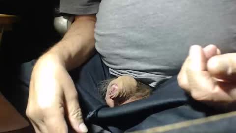 Snapshot of _jimmini chatting on 11.01.25 _jimmini online show from 11.01.25