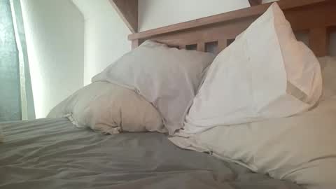 Kiwi online show from 12.02.25