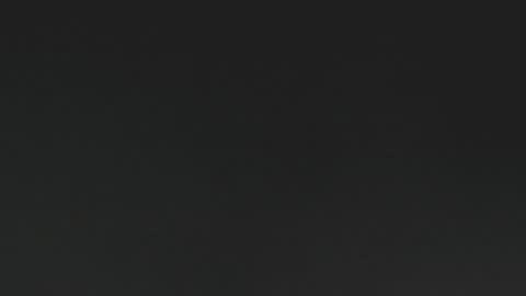 lexie online show from 12.15.24