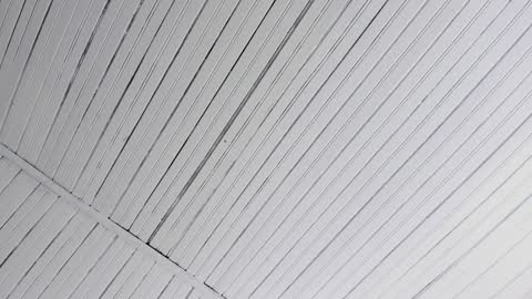 Ivy 3 online show from 12.07.24