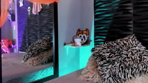 Snapshot of _lustyles_ chatting on 10.31.25 _lustyles_ online show from 10.31.25