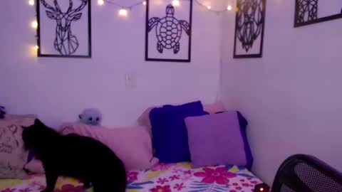 Snapshot of _marcela_wi chatting on 01.18.25 Marce online show from 01.18.25