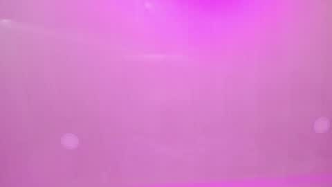 MIA online show from 02.28.25
