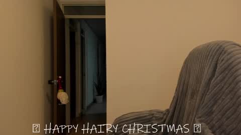 _miss_coco_ online show from 12.25.24